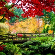 обои в Махачкале