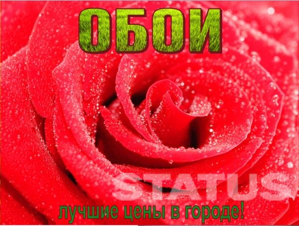 Без имени-1.jpg